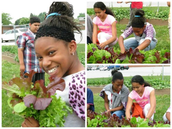 Colonial School District, New Castle, Delaware, gets middle students excited about planting and growing vegetables.